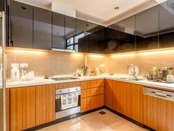 Holland Link (D10), Terrace #623659741